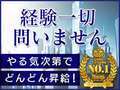 エロエロ星人豊橋店