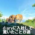 diary～人妻の軌跡～長野店