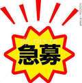 gossip girl 成田店