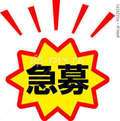 gossip girl 成田店
