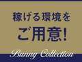 バニーコレクション