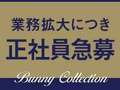 バニーコレクション