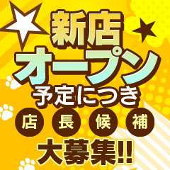 猫の手