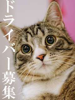ジュエリー