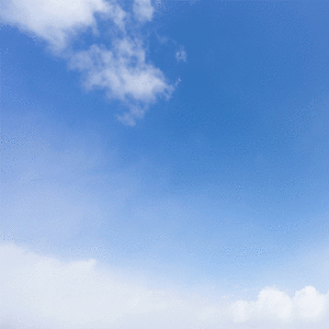 きらめけ！にゃんにゃん学園in大宮