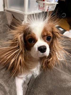 ファーストレディ　博多店