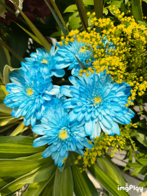 新感覚恋活ソープもしも彼女が〇〇だったら…福岡中洲本店