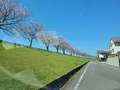 宮崎SANSAIN