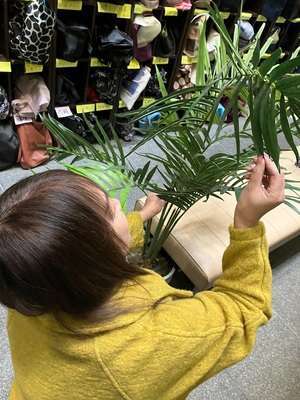 天国にいちばん近い島　ニューカレドニア式高級アロマエステ （カサブランカグループ）