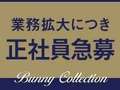 バニーコレクション千葉栄町店