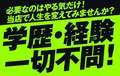 STELLA NEXT－ステラネクスト－