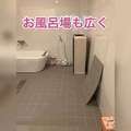 アイドル研究生