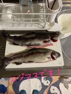 本庄人妻城