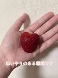 本庄人妻城