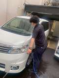 The White