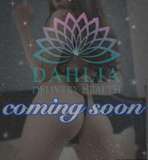 DAHLIA(ダリア)