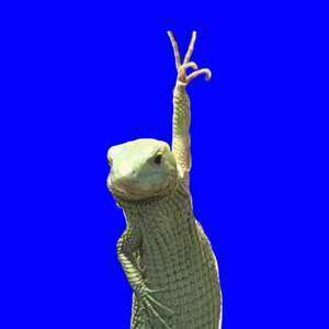 奥鉄オクテツ岡山