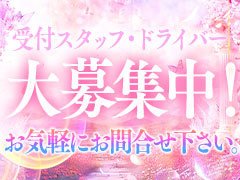 ドライバー大募集中!<br />お気軽にお問合せ下さい!
