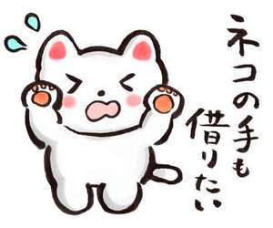 四季～SIKI～