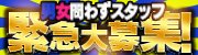 美女セレクション