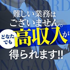 BLUE BIRD 長岡