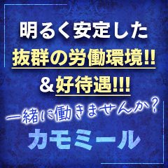 カモミール