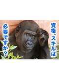 神戸ホットポイント