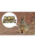 神戸ホットポイント