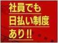 人妻王～オプション使いたい放題～
