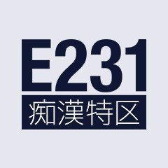 E231