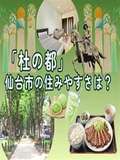 秋葉原コスプレ学園in仙台