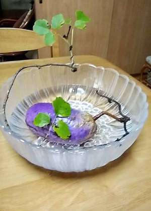 若奥サマンサ（横浜ハレ系）