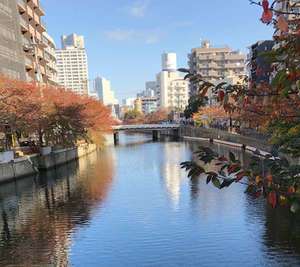 若奥サマンサ（横浜ハレ系）