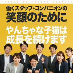 やんちゃな子猫梅田兎我野店