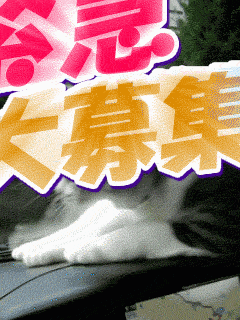 人妻デリバリー　パコパコママ一宮店