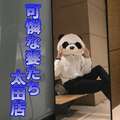 可憐な妻たち 太田店