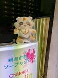 シャトー本陣