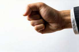 神栖レッドダイヤ