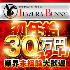 いたずらBUNNYちゃん