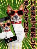 豊満倶楽部